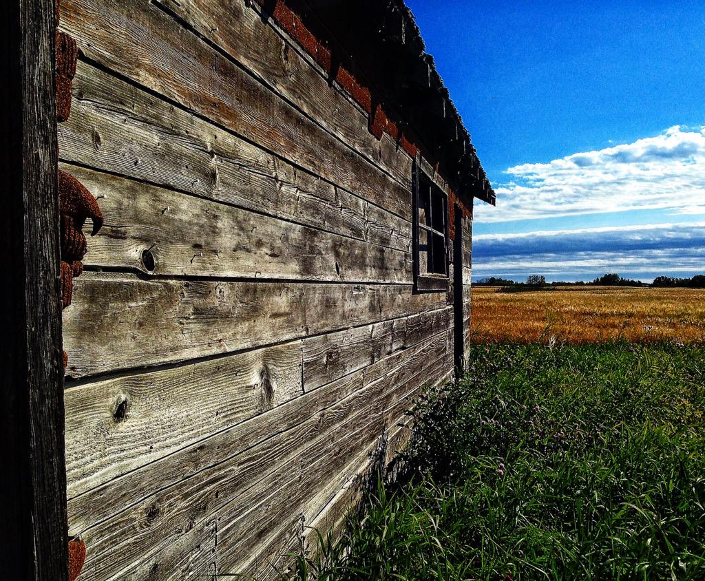 highheels&fields tweet media