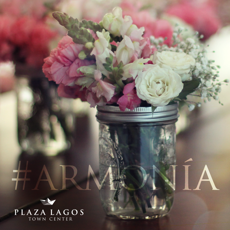 PlazaLagos's tweet photo. Visita #StudioFlora, encontrarás arreglos, jardinería y arte. Te esperamos en #PlazaLagos #Samborondón #Armonía http://t.co/0GP51UxFcC