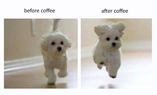 Adorably's tweet photo. ☕☕☕☕☕☕ http://t.co/6fYuUrZlZv