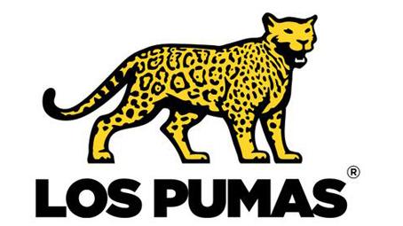 unionargentina's tweet photo. Cuatro años esperando este momento. Cuatro años. Y está a punto de empezar. #RWC2015  #VAMOSPUMAS #ARG http://t.co/6psw6cUwYp