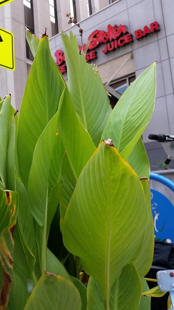 Nick James tweet media