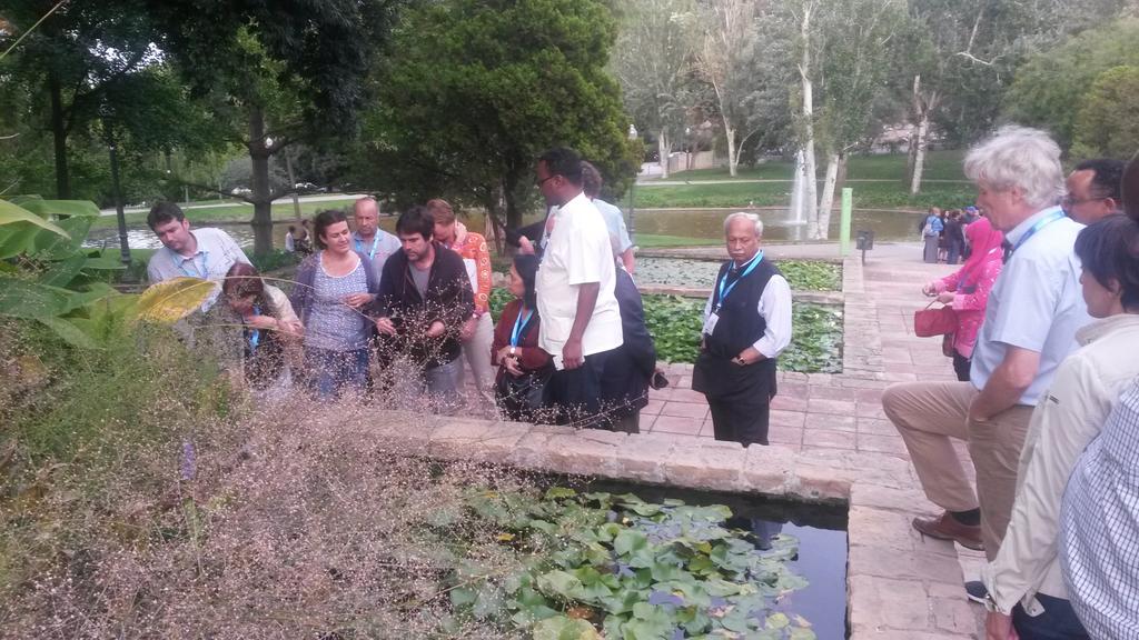 mjchesa's tweet photo. #wopcongress @gwopa @UNHABITAT @BCN_Ecologia #BCASA asgalanthus Sergi and Mònica Mossèn Cinto Gardens http://t.co/EK4YEutuUC