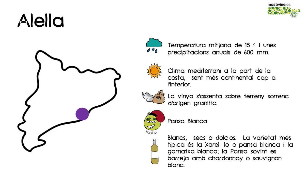 En el tast de <a href="/MesQHotels/">MésQHotels</a> #PraktikVinoteca tastant un <a href="/DOAlella/">DO Alella</a> <a href="/MarquesDAlella/">Marqués De Allella</a> #Wineys #pansablanca