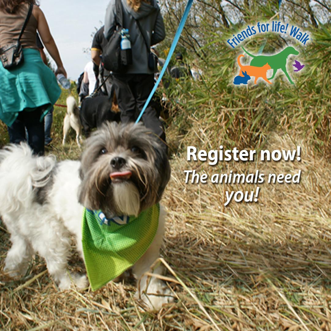 OntarioSPCA's tweet photo. TOMORROW!! The #OSPCAwalk is tomorrow! Will we see you there?: friendsforlifewalk.ca #loveyourpet☀️🐾🐶 #dogs #walk http://t.co/DnidcxAVyb