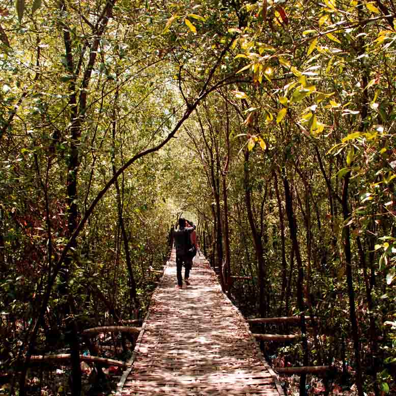 Menjelajah Hutan Mangrove Surabaya
#Unstoppablesurabaya