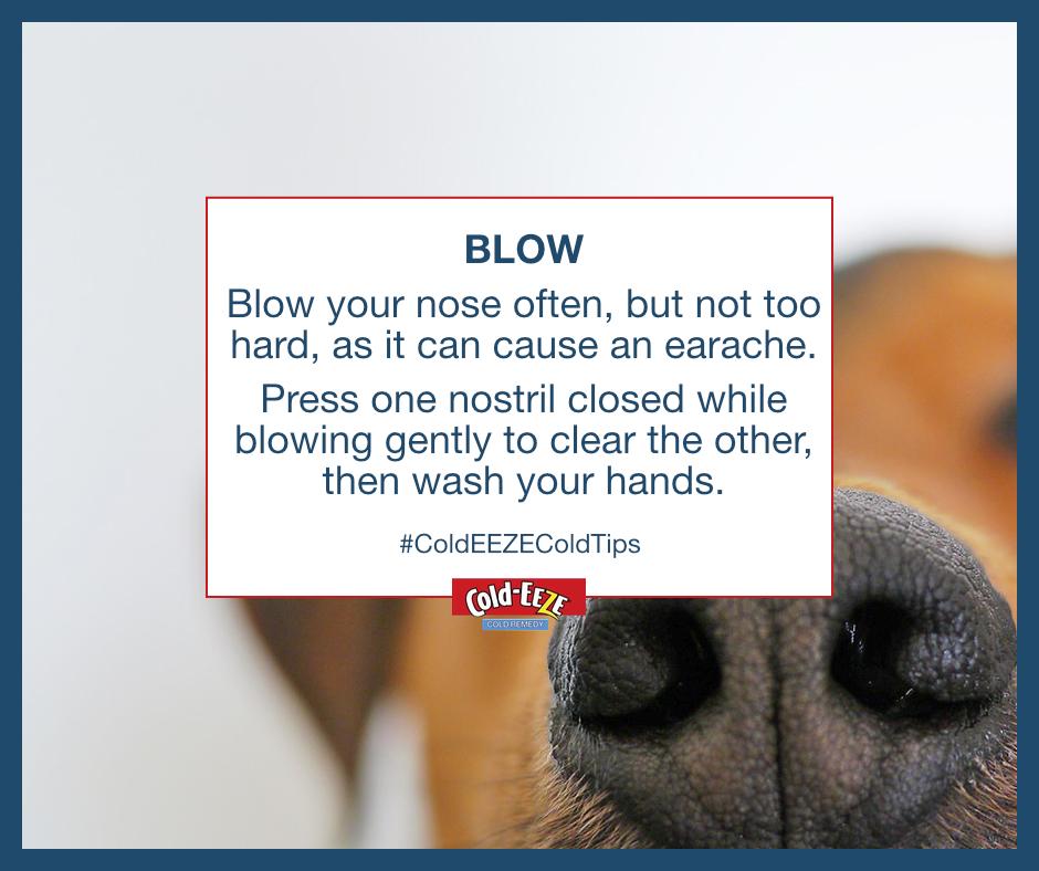 coldeeze's tweet photo. #ColdEEZEColdTips #ColdTips Press one nostril closed while blowing gently to clear the other. http://t.co/9RbEv352rC