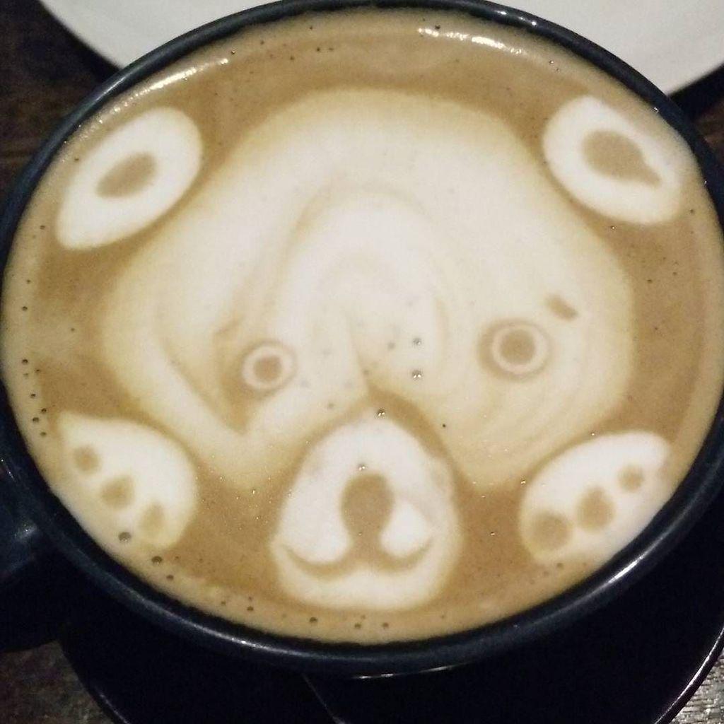 unSauLicited's tweet photo. Instagram: Please 🐻 with me. #CommuneIsComing #coffee #cafe #instacoffee #cafelife #caffei… http://t.co/MgebWd6cDw http://t.co/20E0EwAuMg