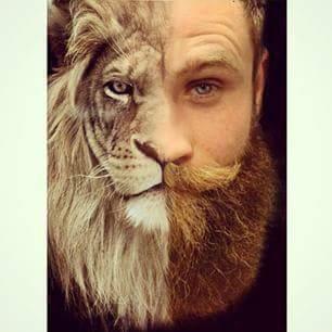 gingesjimny's tweet photo. @MarinerJackUK kinda like this too #beardip #gingerbeard #Viking beard @BeardedBarberJB #gobeardorgohome http://t.co/NCpEKcgp9J