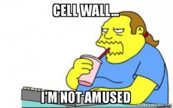 bonnewt201's tweet photo. @MembraneWall @Mrs_Hibbs #orgenellewars http://t.co/SBqxjw45Y7