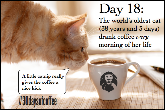 RoyalCup's tweet photo. #30daysofcoffee Day 18: We don't recommend this for your cat buttttt apparently cats love coffee too! #furryfriday http://t.co/QE3kAVXJag