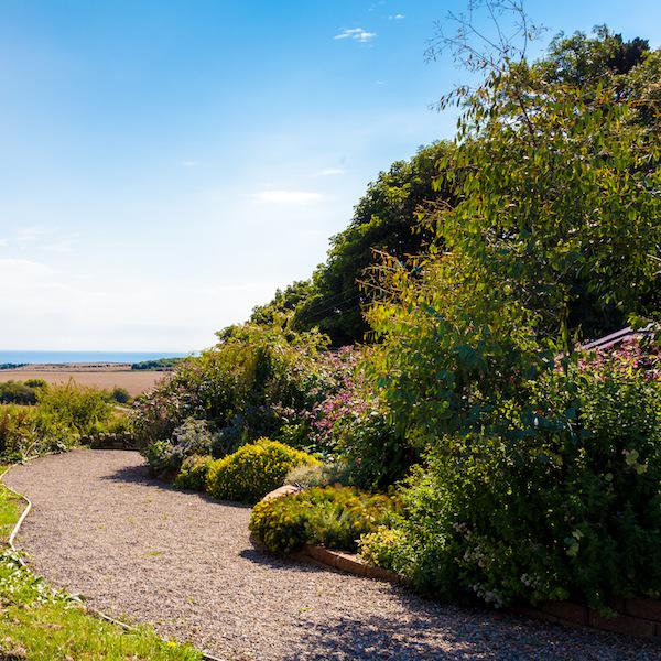 Coberhill's tweet photo. Photographer @MarkHeslington has captured Cober's beauty @SueFordArt @RobertDutton1 @angela_j_hindle #themedbreaks http://t.co/suhC7JmU0B