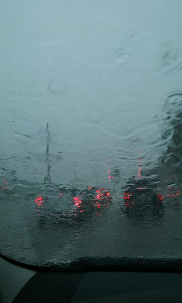 GreenexPestCtrl's tweet photo. Stay dry and seal gaps on windows and doors so no intruders come looking for shelter #exclusion #GreenexWorld http://t.co/IPpjDrlwIy