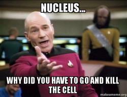 bonnewt201's tweet photo. @Nucleus54321 @Mrs_Hibbs #orgenellewars http://t.co/ZnLB31cuSP