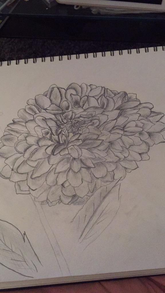 AmandaFrehr's tweet photo. #drawing #floralart #flowers #art #blackandwhite #drawingsofflowers #beautiful #proud #lovedrawing #draw http://t.co/PiCw5nU9NA
