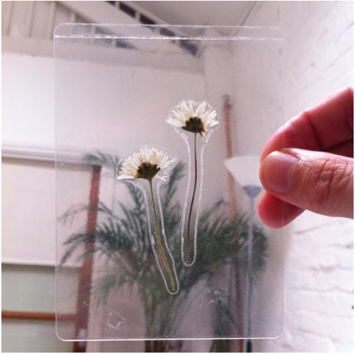 Rizboardshorts's tweet photo. Excited to be going to the @PlantOutOfPlace event this evening. Best invite seen in a long time! http://t.co/rNtE6SplBA