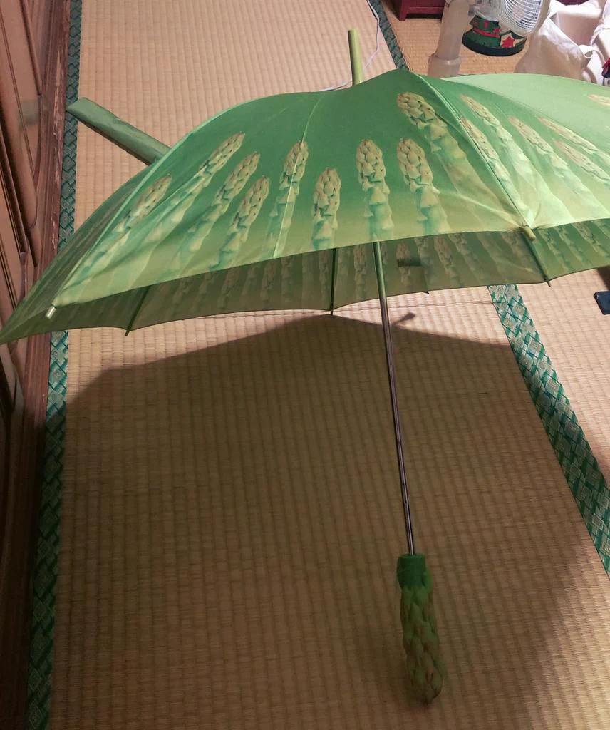 この傘が完全にイカれている...差してたら絶対に変な目で見られるwww