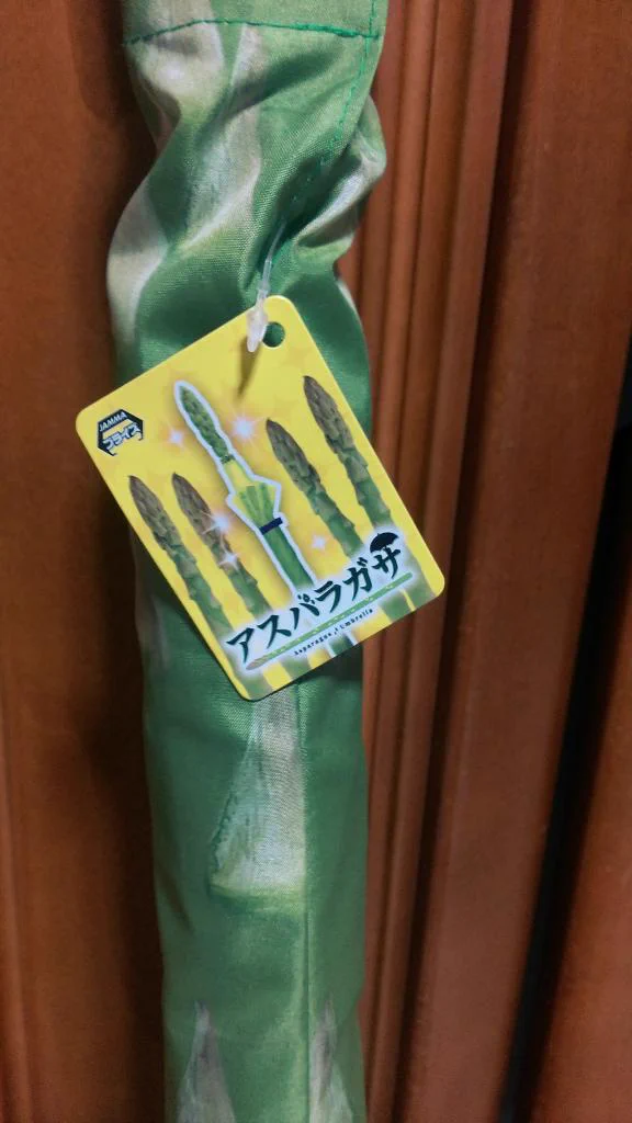 この傘が完全にイカれている...差してたら絶対に変な目で見られるwww