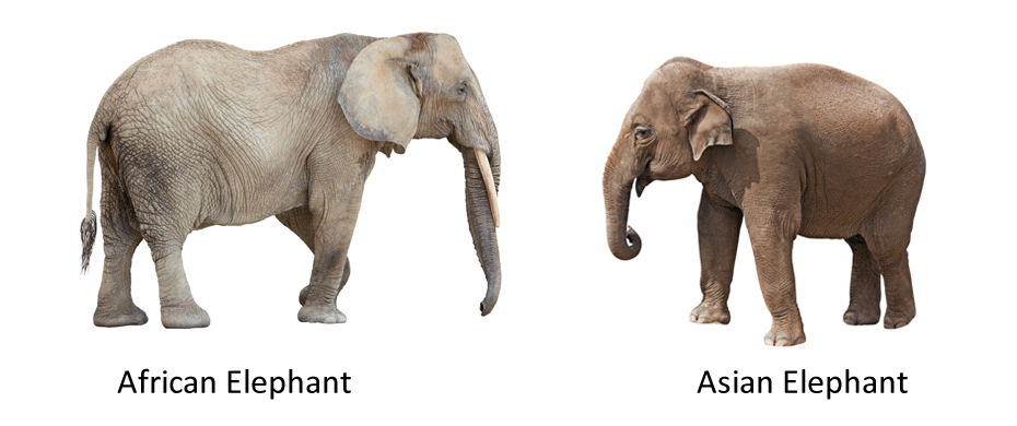 NickAnstead's tweet photo. This one's for you guys @davekarpf @rasmus_kleis #IJPP15 #speciation http://t.co/YiOxHAJdHx