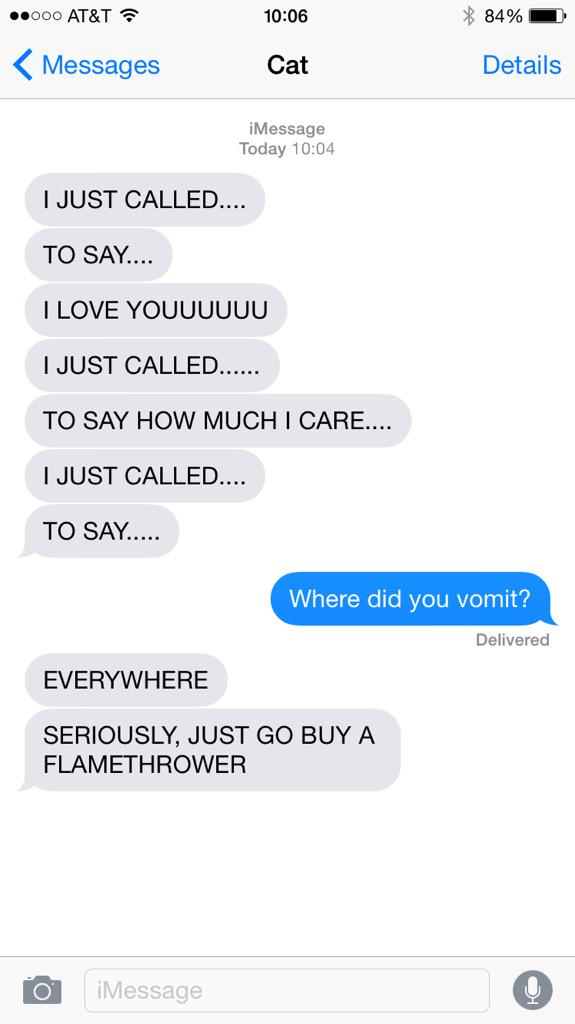 textfromcat tweet picture