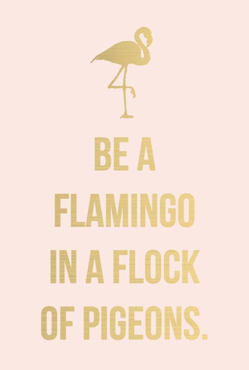 amplebosom's tweet photo. Something to make you smile on your #Sunday! #WeekendHour

(Found on BlogLovin) http://t.co/7pIw6s83qZ