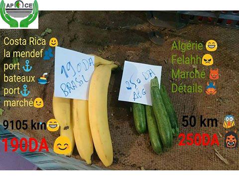 saramira271's tweet photo. l'économie algérienne dans toute sa splendeur.#DZ2015  #Go_figure http://t.co/giphtqLRpR