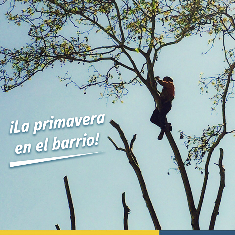 Neto Comunicación tweet media