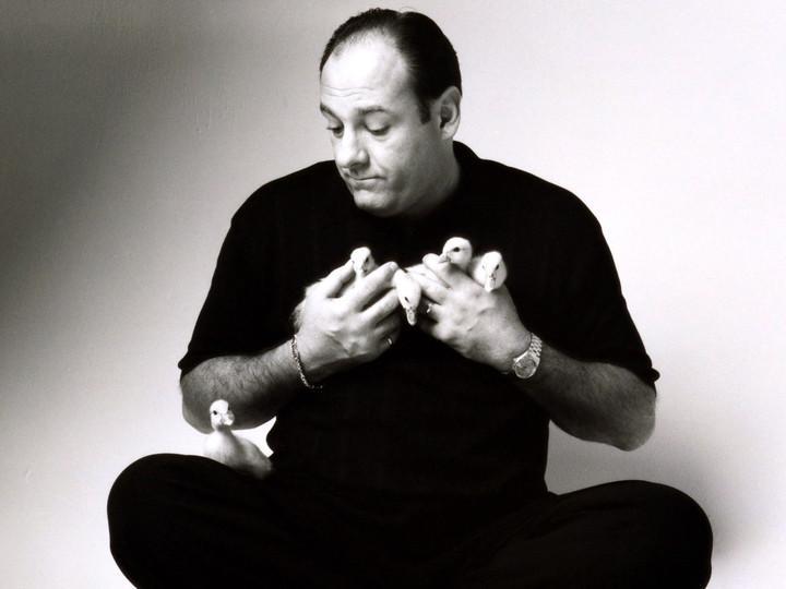 Happy Birthday to the late actor James Gandolfini  