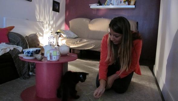 VDNLille's tweet photo. #Lille : joli succès pour le bar à chats, trois semaines après son ouverture ! http://t.co/A1HWBdogeL http://t.co/R43DB6fSKI