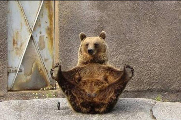 DanielaGzOro's tweet photo. Es viernes y esta osa lo sabe xD.
Buenisimos días y #queremosrock !!!
@aesquinca @MonicaAlfamx @alfa913fm http://t.co/u1g37FZLAd