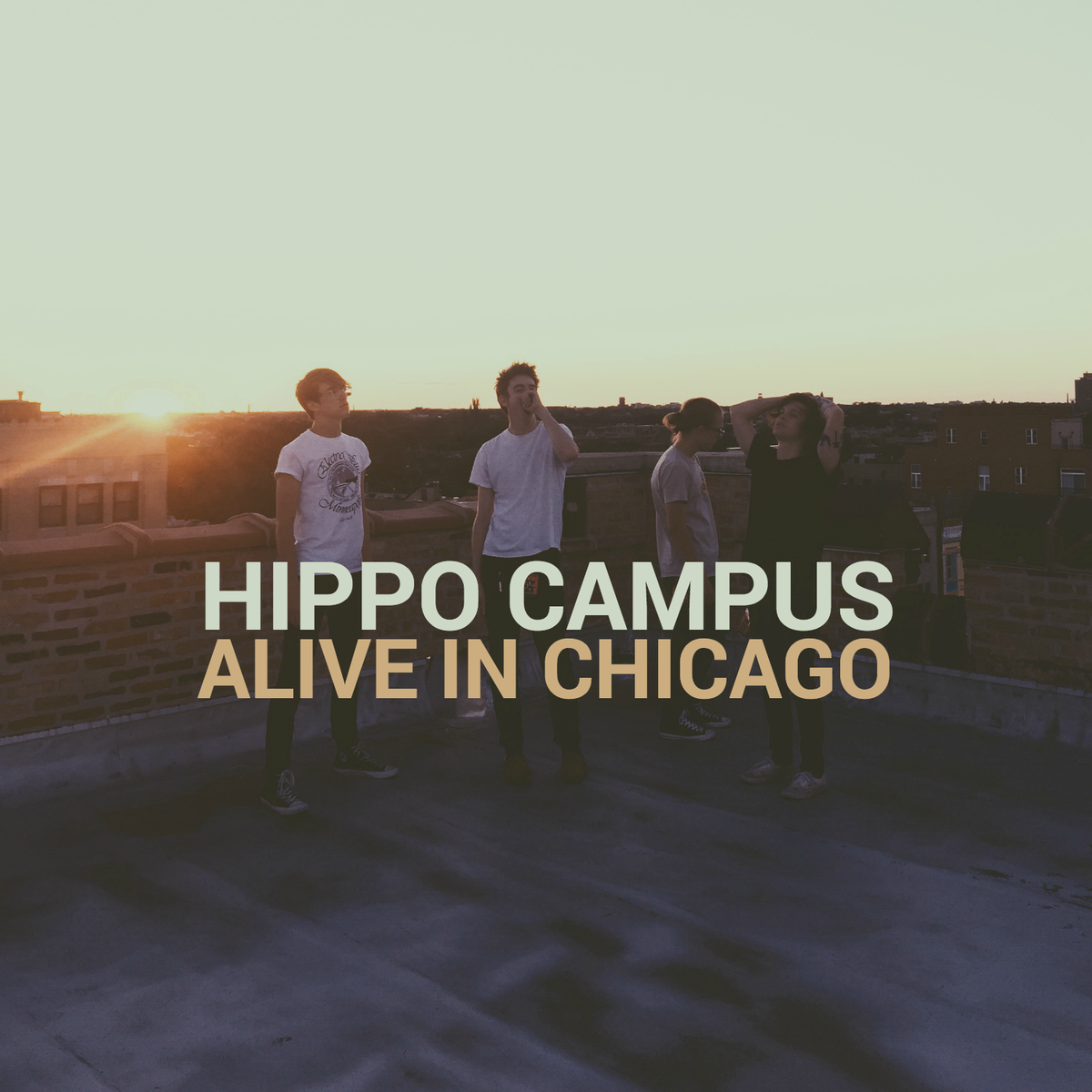 thehalocline's tweet photo. Morning babes! New live tunes on @Spotify this morning. Check it here: http://t.co/ELbEV1AMJ3 #ddsummersoundtrack http://t.co/o6bMzYnQdV