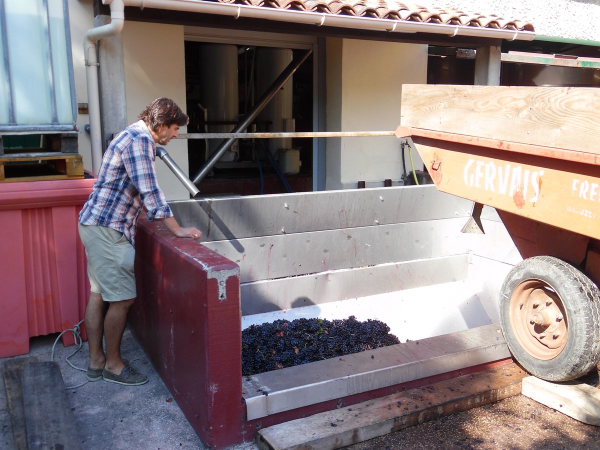 ArnouxEtFils's tweet photo. Harvest 2015 with Jeff and Marc
Lose nothing to give you the best...
@JeffArnoux @ArnouxEtFils http://t.co/btyFuzbQbn
