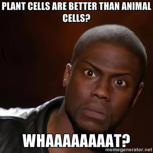 GreenHouse_04's tweet photo. When humans realize they need me in their life http://t.co/GNbH6zP1mQ