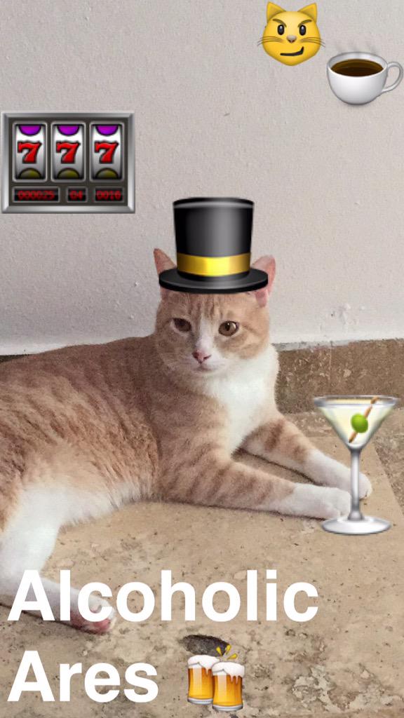 maryestrellass's tweet image. @alanamariadays @vivianaisabel09