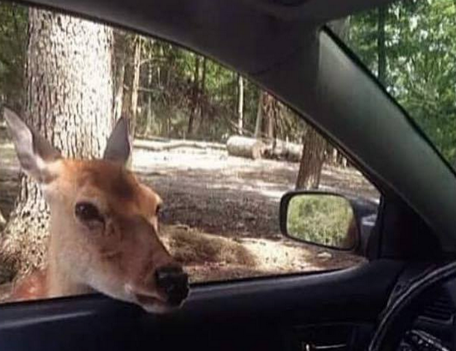 MensHumor's tweet photo. That one friend after the bar closes who always says "What y'all gonna do now?" http://t.co/ojAEUeWu0o