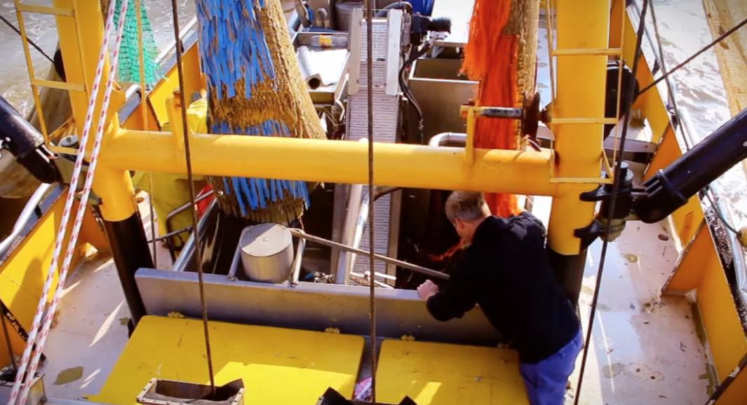 NPOdoc_nl's tweet photo. Makers van Morgen gemist? Kijk 'Afgescheept' terug en lees het interview met de makers op: http://t.co/SNoKQSfJ9g http://t.co/5hRllpPYbe