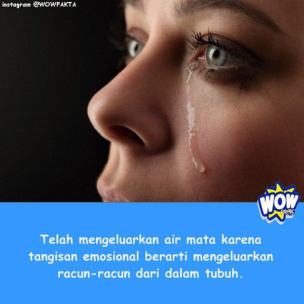 Faktagram hari ini adalah #tahukahkamu #tahukahanda #wowfakta #fakta #faktanya #wow via IG ift.tt/1Yjcm4s