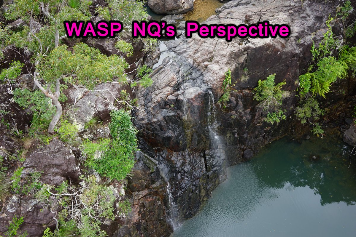 WaspNQ's tweet photo. Let WASP NQ show you a whole new perspective! http://t.co/qY7rH6QEbE