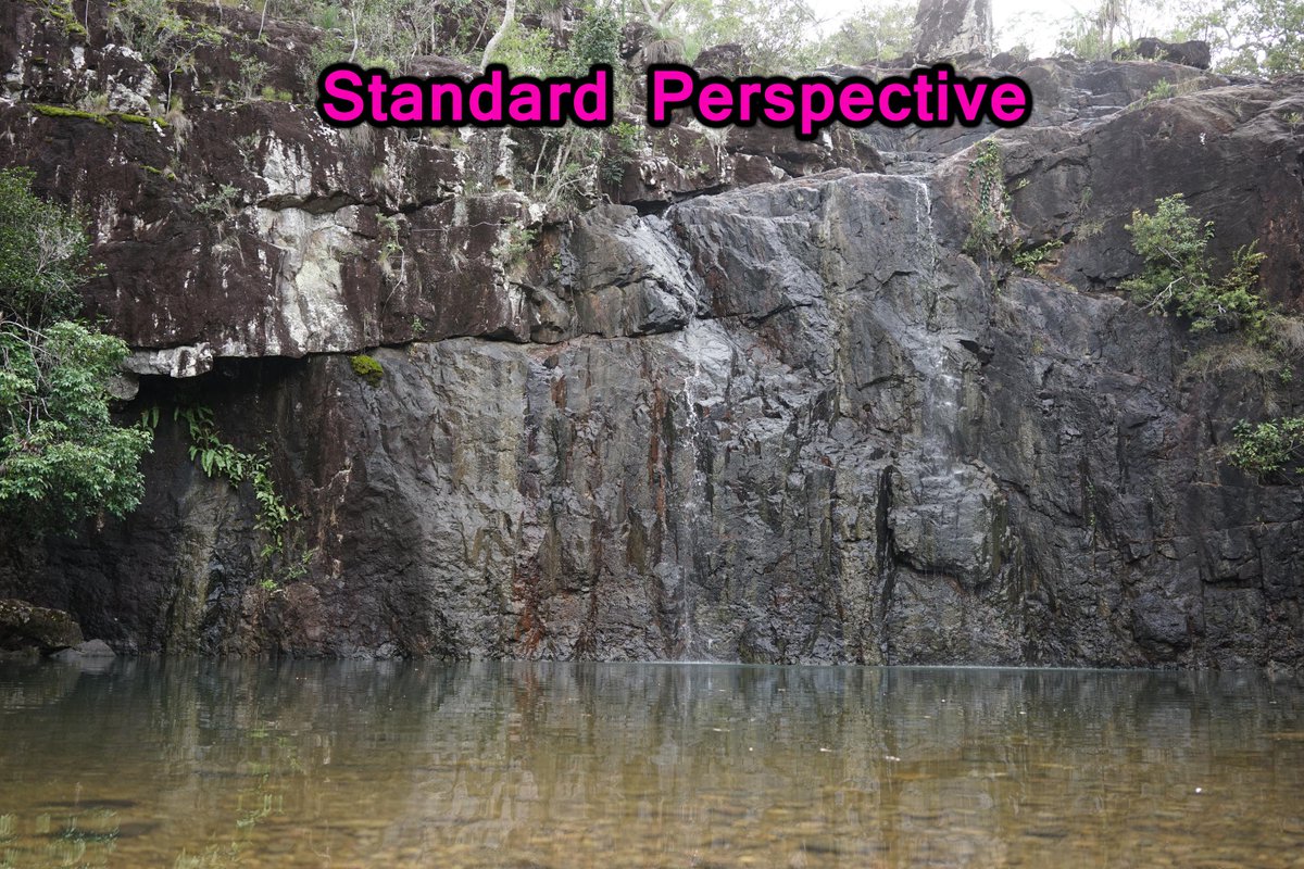 WaspNQ's tweet photo. Let WASP NQ show you a whole new perspective! http://t.co/qY7rH6QEbE