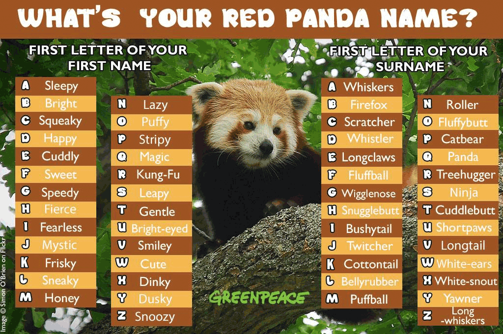 redpandaday! hashtag on Twitter