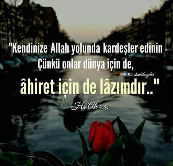 Prof. Dr. Şener DİLEK (@profsenerdilek) on Twitter photo 