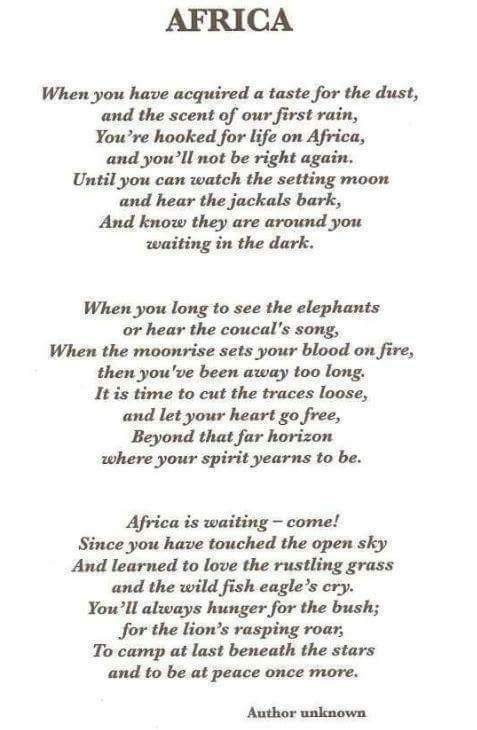 Ms_Clause's tweet photo. Africa, this is why I live here. http://t.co/ykPc44ZFBC