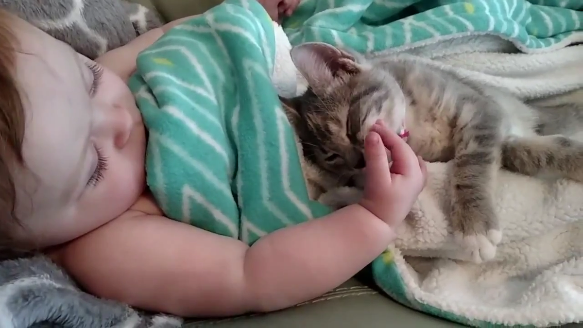 informativost5's tweet photo. EN VÍDEO: El tierno despertar de una bebé y su nueva mejor amiga http://t.co/H7tAQxxFg4 http://t.co/JBGLEazkML