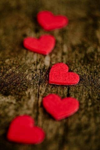 ﻟُﻴَﺘٌﻨْﻲَ ﺃﻣﻠُﮓ ﺁﻟُﺴﻌﺂﺩِﮦ ...ﮒﮯ ﺃﺿﻌﮩﺂ ﻓَﻲَ ﺗٌﻠُﮓ ﺁﻟُﻘﻠُﯚﺏْ ﺁﻟُﺘٌﻲَ ﺃﺭﺁﻫﺂ ﺗٌﺘٌﺄﻟُﻢ