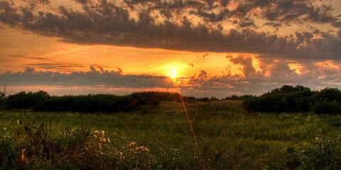 WallisWellness's tweet image. When Things Go Wrong

You Can Thrive, Not Just Survive
--&amp;gt; tinybuddha.com/blog/when-thin…