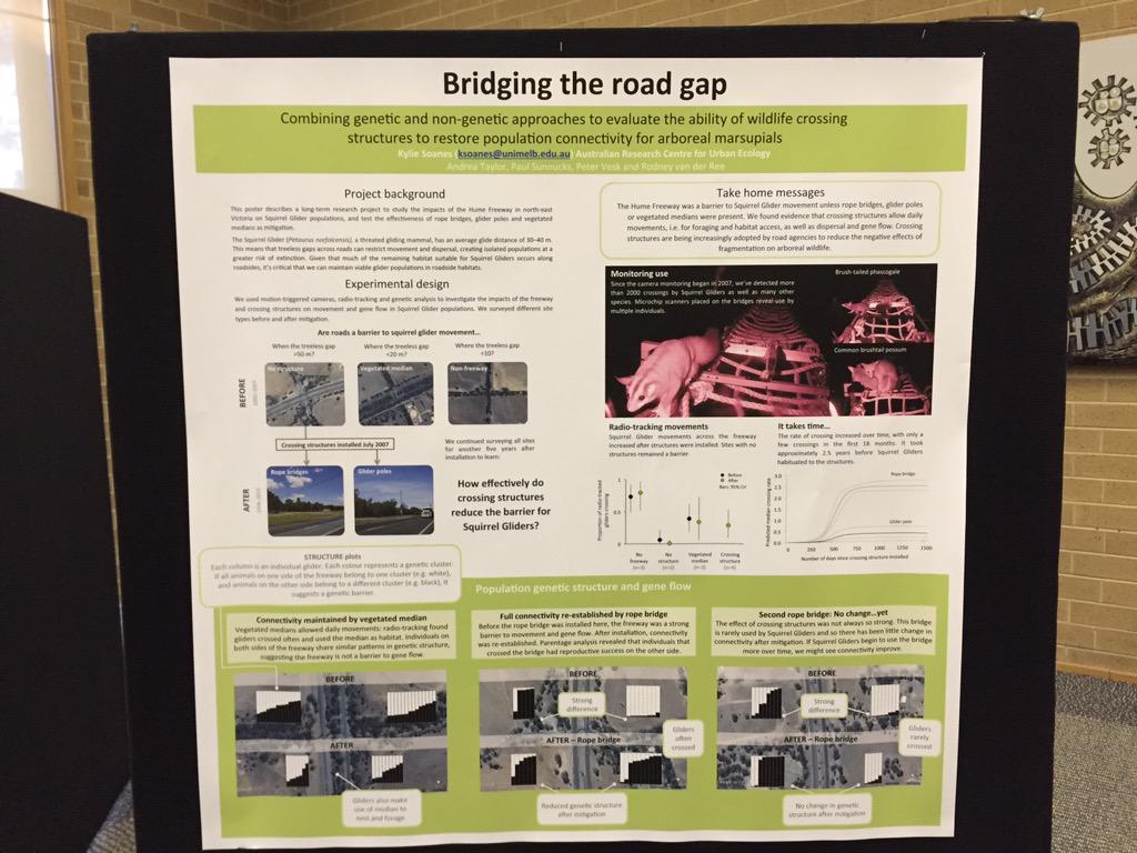 kyliesoanes's tweet photo. Sorry to be missing #ICOET2015 but I'll be there in poster form. Make sure you take a look #roadecology #icoet15 http://t.co/fSjzoT2ygD