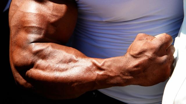 T Nation On Twitter This Full Body Workout Program Is For This Full Body Workout Program Is For Advanced Lifters Only Https Www T Nation Workouts How To Trigger Size Gains Every