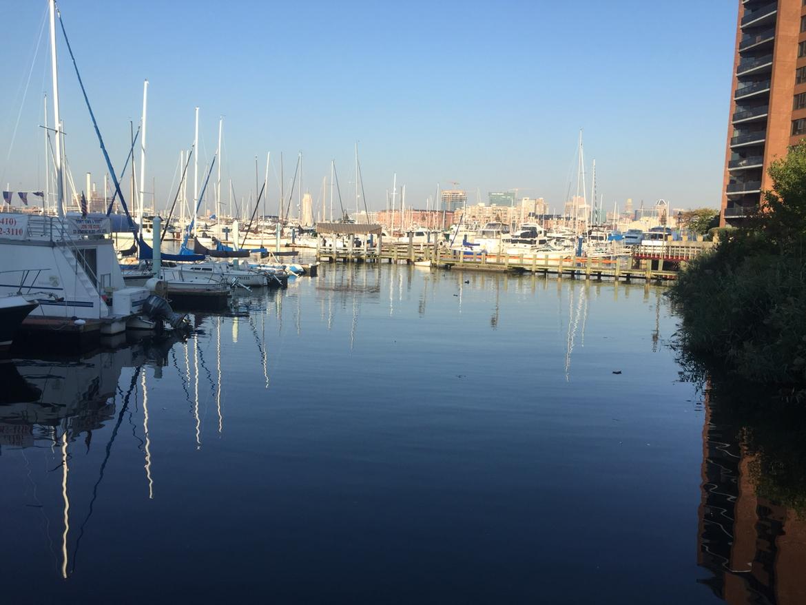 Kmrk_'s tweet photo. Decent view for my run in Baltimore this morning. Not pictured: rampant gang violence. http://t.co/2A5mQf9I45