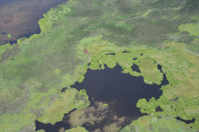 GreenpeaceArg tweet picture