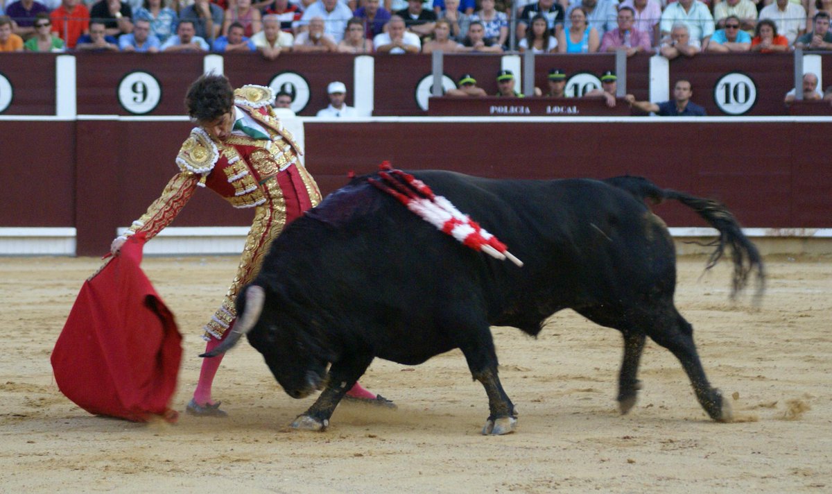 ToursMadrid's tweet photo. To bullfight or not to bullfight, that is the question: http://t.co/QUExoLbzLM @madridESL http://t.co/8Z3RQz5lwv