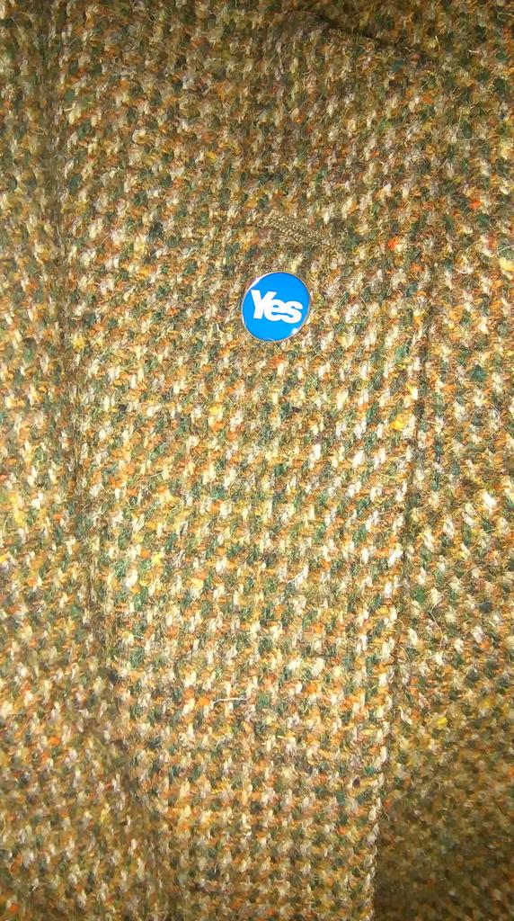 peerieweeotter's tweet photo. @drclarelewis @LynnieYankee @mortonjen @patronsaintofca still wearing mine 1 year on 😊 http://t.co/br8eqaReMe